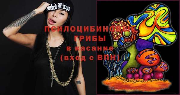 apvp Арсеньев