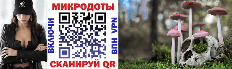 Галлюциногенные грибы GOLDEN TEACHER  Купить где  Семёнов 